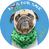 PUGS FOR SALE Magnet Cara Craft 